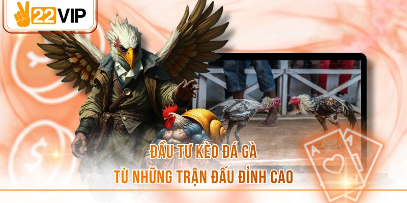 28bet phát triển chuyên mục cá cược đá gà hấp dẫn