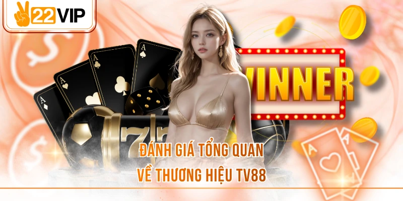 Đánh giá tổng quan về thương hiệu TV88